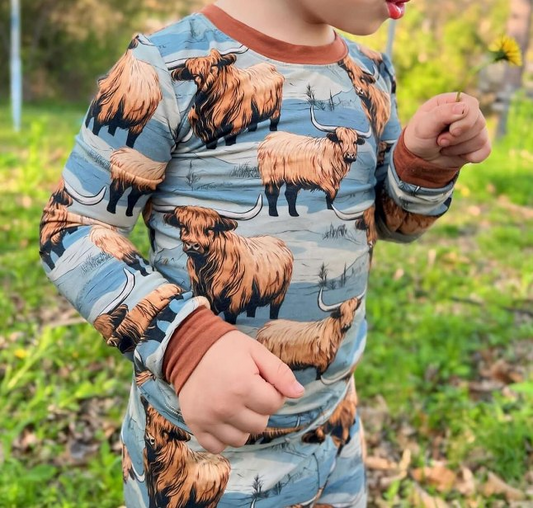 Brown long sleeves highland cow western boys pajamas