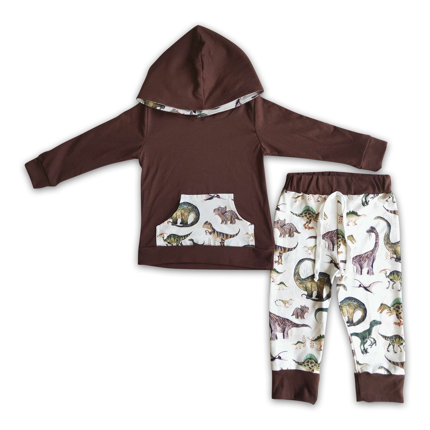 Brown Boy Dinosaur Hoodies Outfit