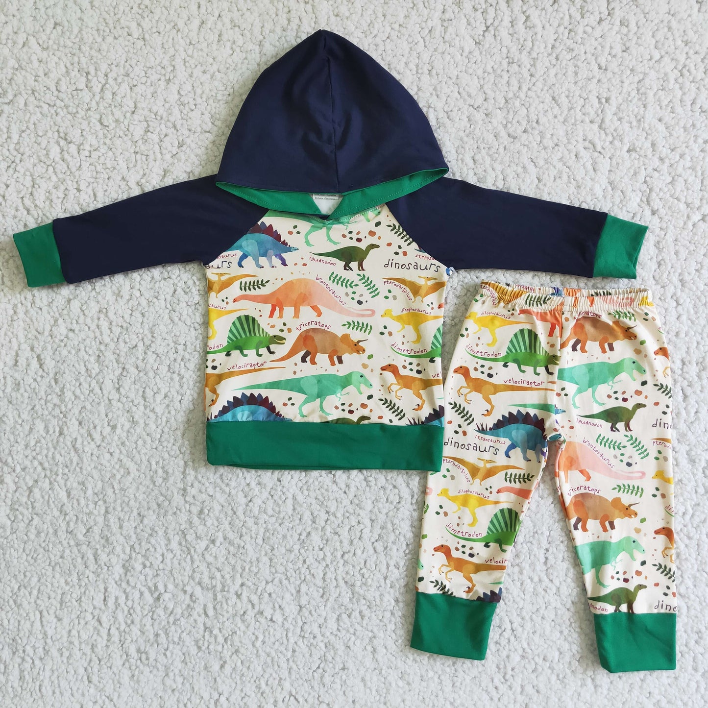 Boy Dinosaur Hoodies Outfit